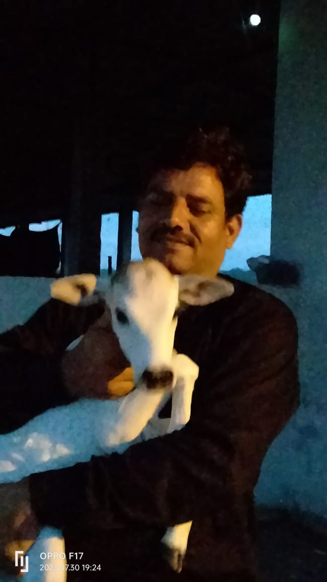 गौशाला 3